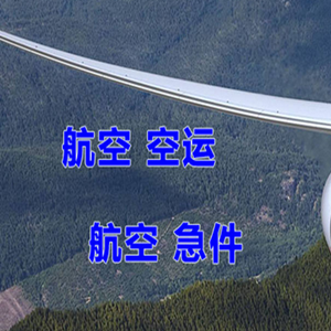 阆中古城航空运输快递-选东方航空和上海航空